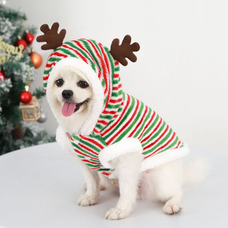 Winter Clothing Looks - Wesołych Świąt ubranka dla psa w