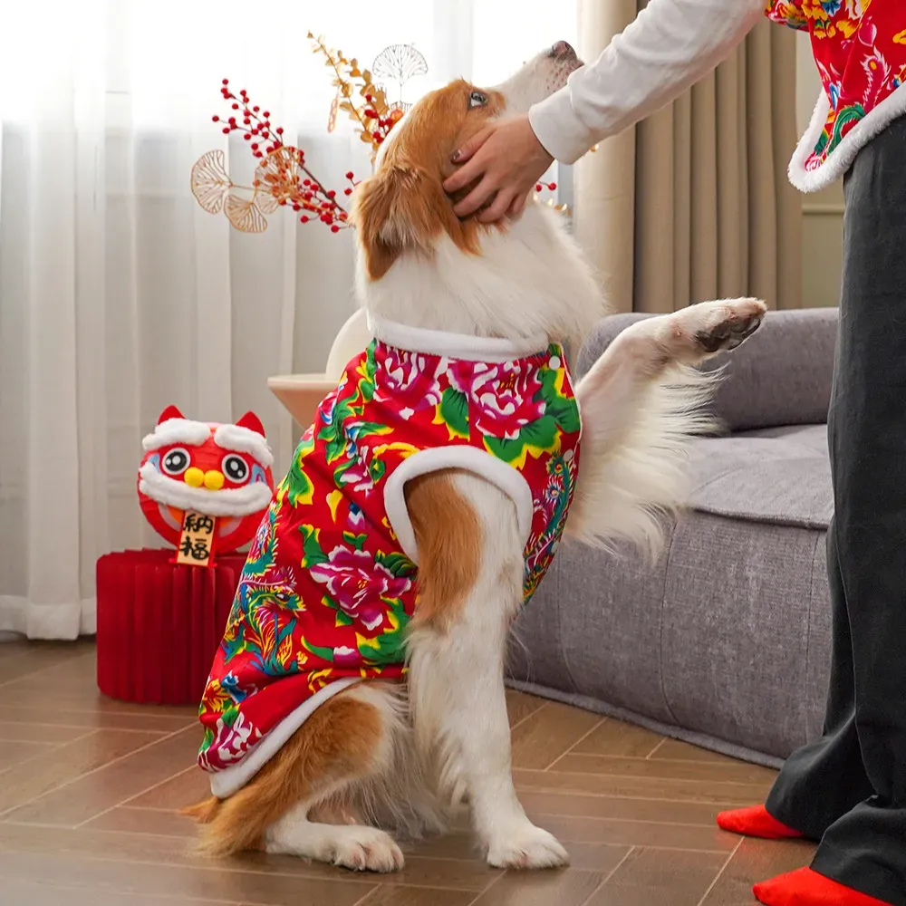 Odzież zimowa dla psów 2025, u – Winter Clothing Name recenzja i cena