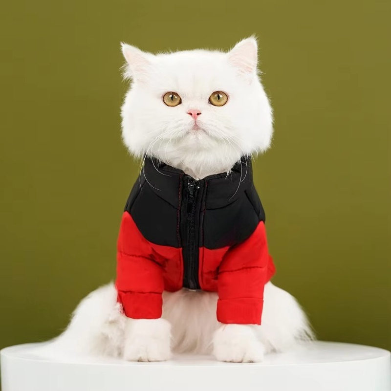 Luksusowa, ciepła kurtka pucho – Winter Clothing Manufacturers recenzja i cena